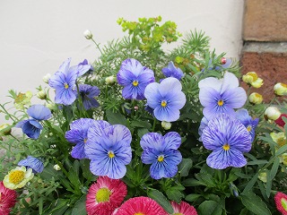 IMG_8934ss.jpg