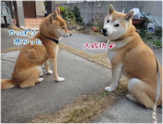 トラちゃんち4.jpg