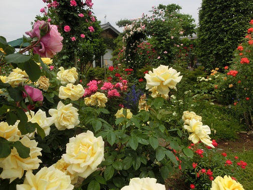 オープンガーデン