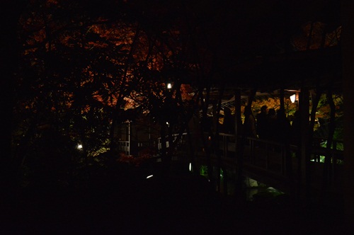 24 090.JPG