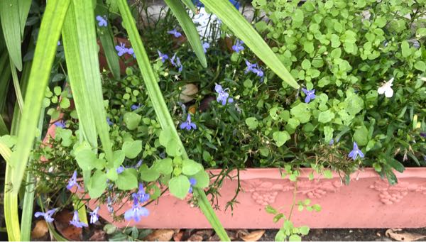 rblog-20180624180303-09.jpg