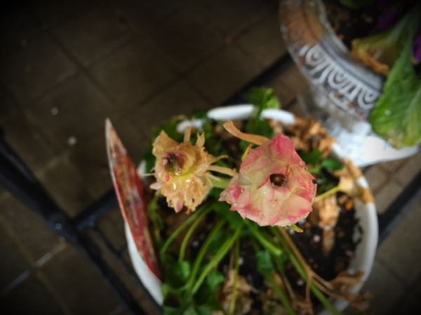 rblog-20150222132411-00.jpg
