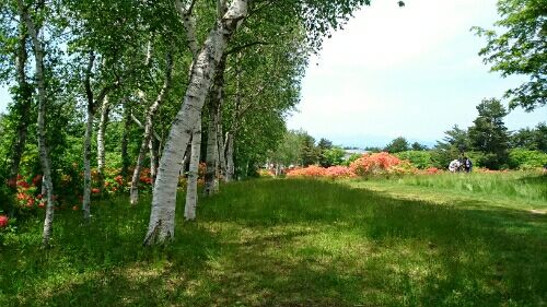 rblog-20160604114042-02.jpg