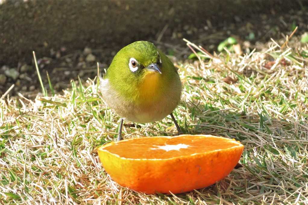 498