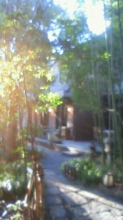 NEC_0026.JPG