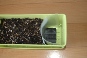 水無底面給水シート2