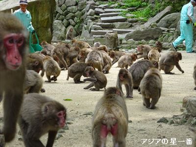 20160514 大分市　由布院12