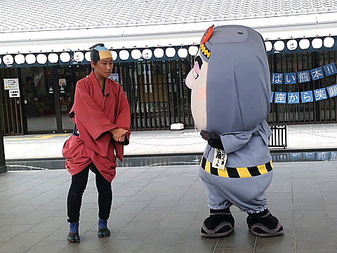 IMG_20160921_112456.jpg