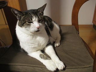 IMG_4618ss.jpg