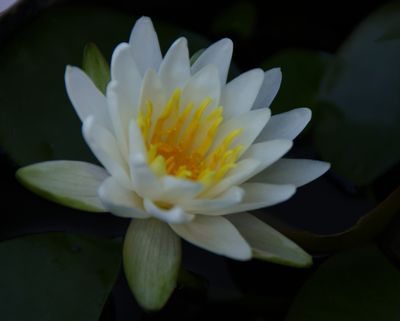 IMGP7583.JPG