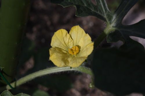 2015060104.JPG