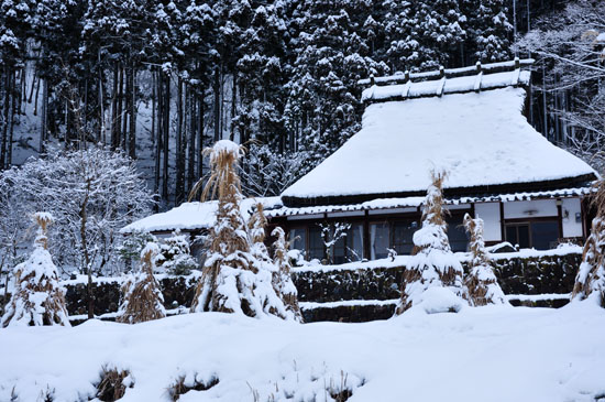 雪３