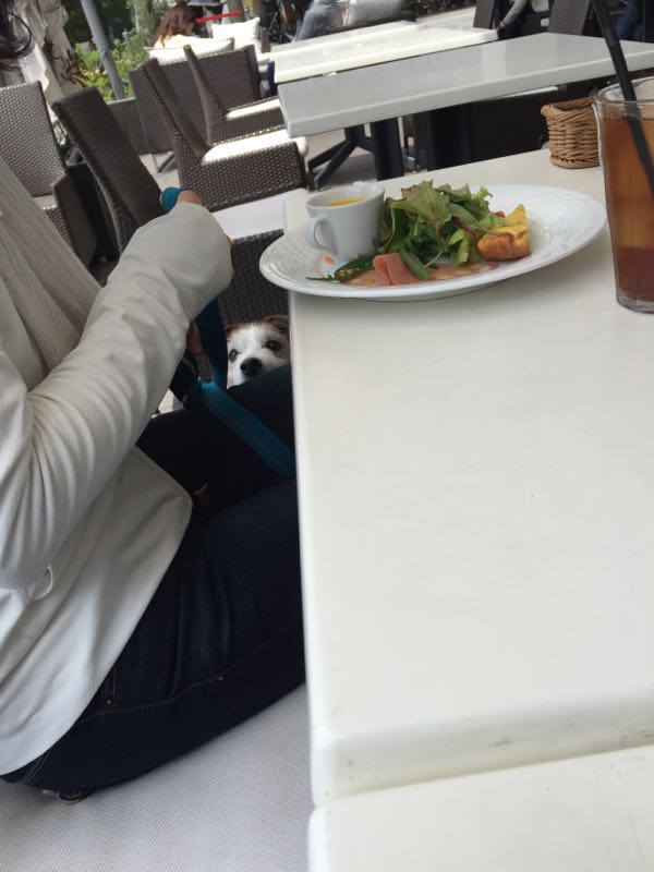 rblog-20160426011721-08.jpg