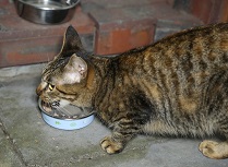 5DA_6627-14.jpg