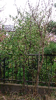 rblog-20130403193834-02.png
