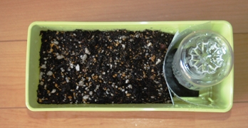 水無底面給水シート3