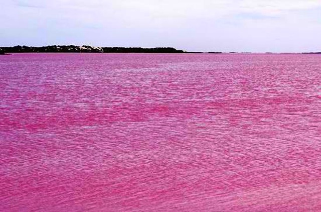 pink-lake3.jpg