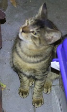 5DA_8900-4.jpg