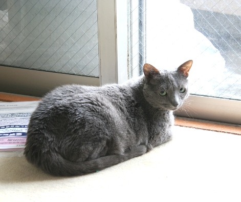 20120428ﾌｰ02.jpg