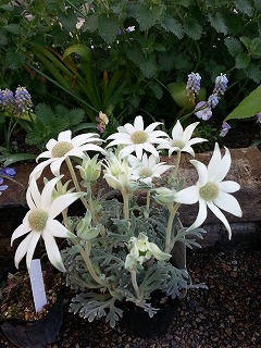 2015-04-18 08.02.50ss.jpg