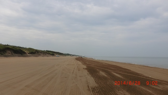 CIMG0217.JPG