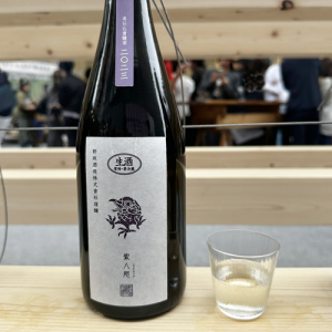 定価並で購入した日記 （天空の城） - 楽天ブログ
