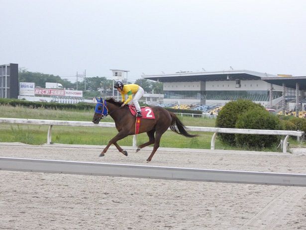 2017ヤングジョッキーズシリーズ トライアルラウンド笠松 | 地方競馬の