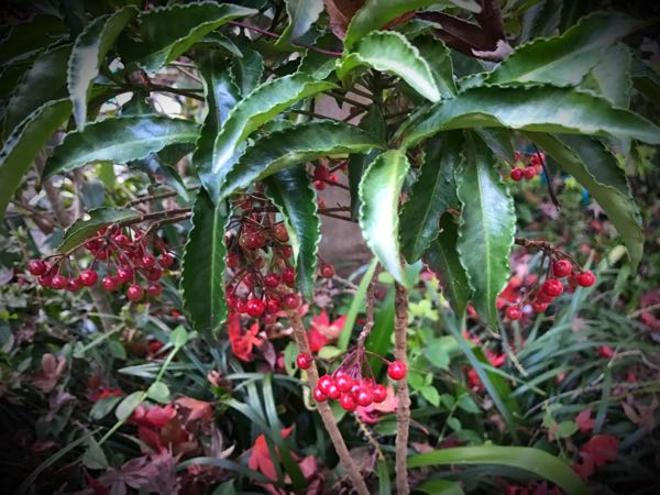 rblog-20161128165148-03.jpg