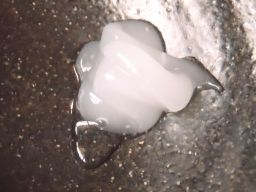 ゲルプラスpg2_256.jpg