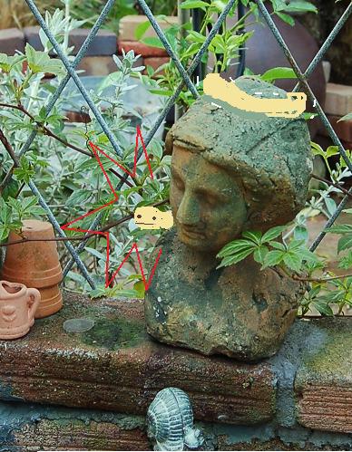 DSC_0025.JPG