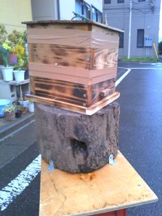 ハイブリッド捕獲箱2