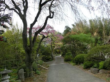 Ｍ家の庭