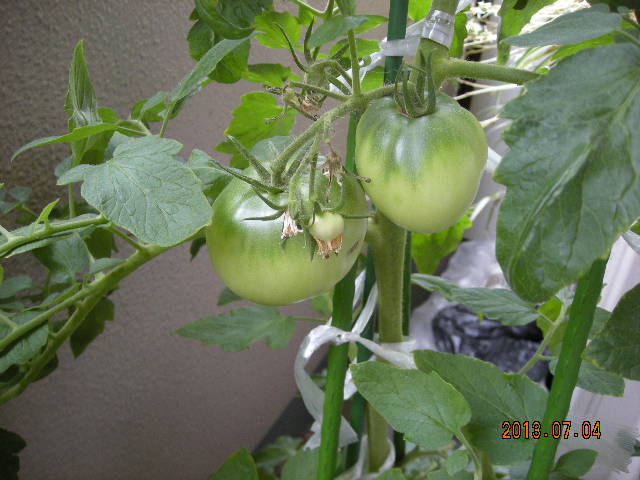 DSCN9327.JPG