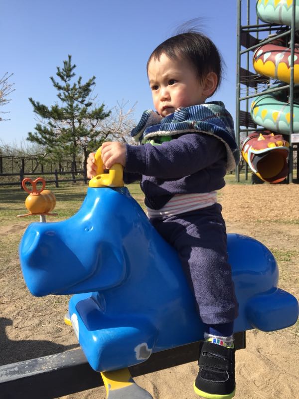 rblog-20150425215508-03.jpg