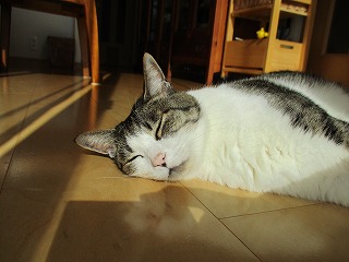 IMG_3103ss.jpg
