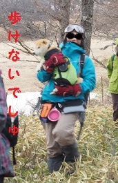 muri