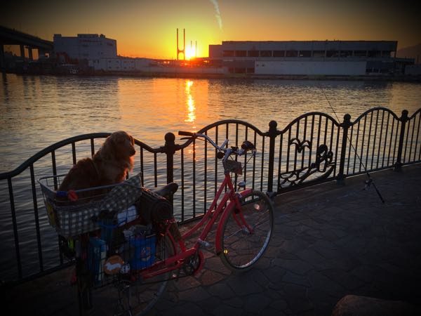 rblog-20171102175503-05.jpg