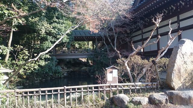 2016-01-31 09.57.45.jpg