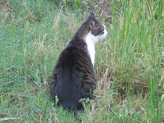 IMG_9438ss.jpg