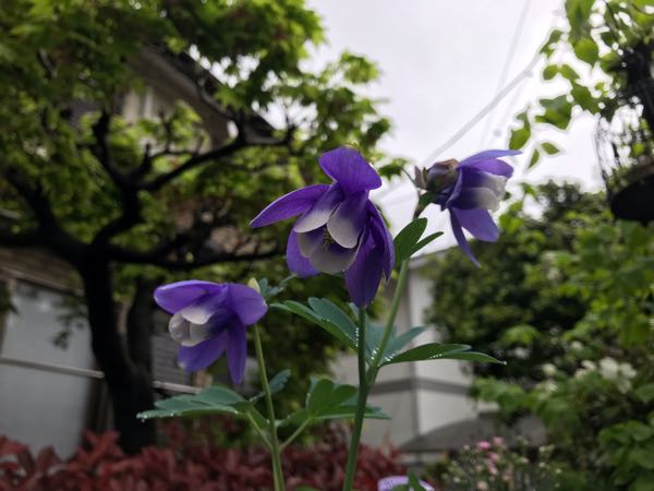rblog-20190426180928-05.jpg
