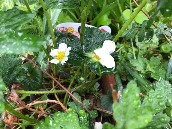 rblog-20190426180748-01.jpg