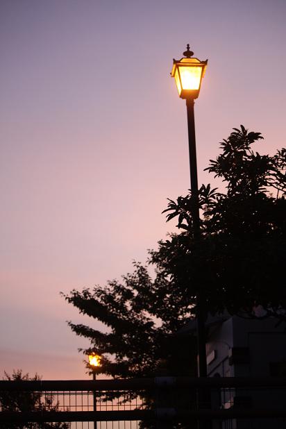 コピー ~ IMG_9706.JPG