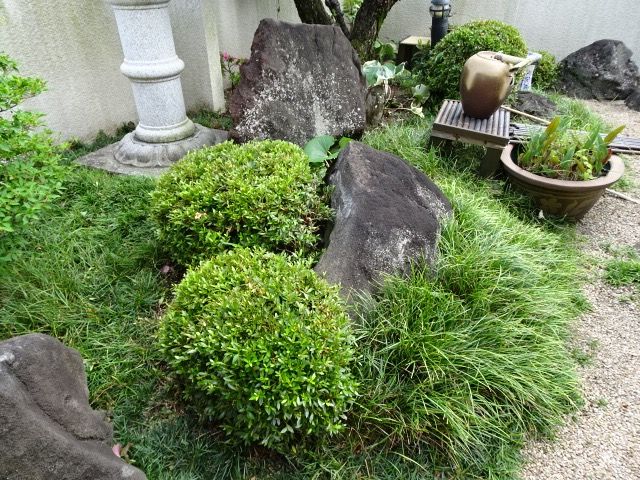 我が家の庭(2) | あんず の ブログ - 楽天ブログ 