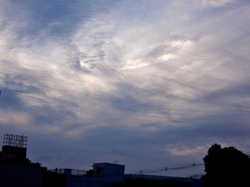 夕暮れ3.JPG