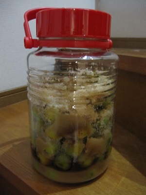 umejyu-su