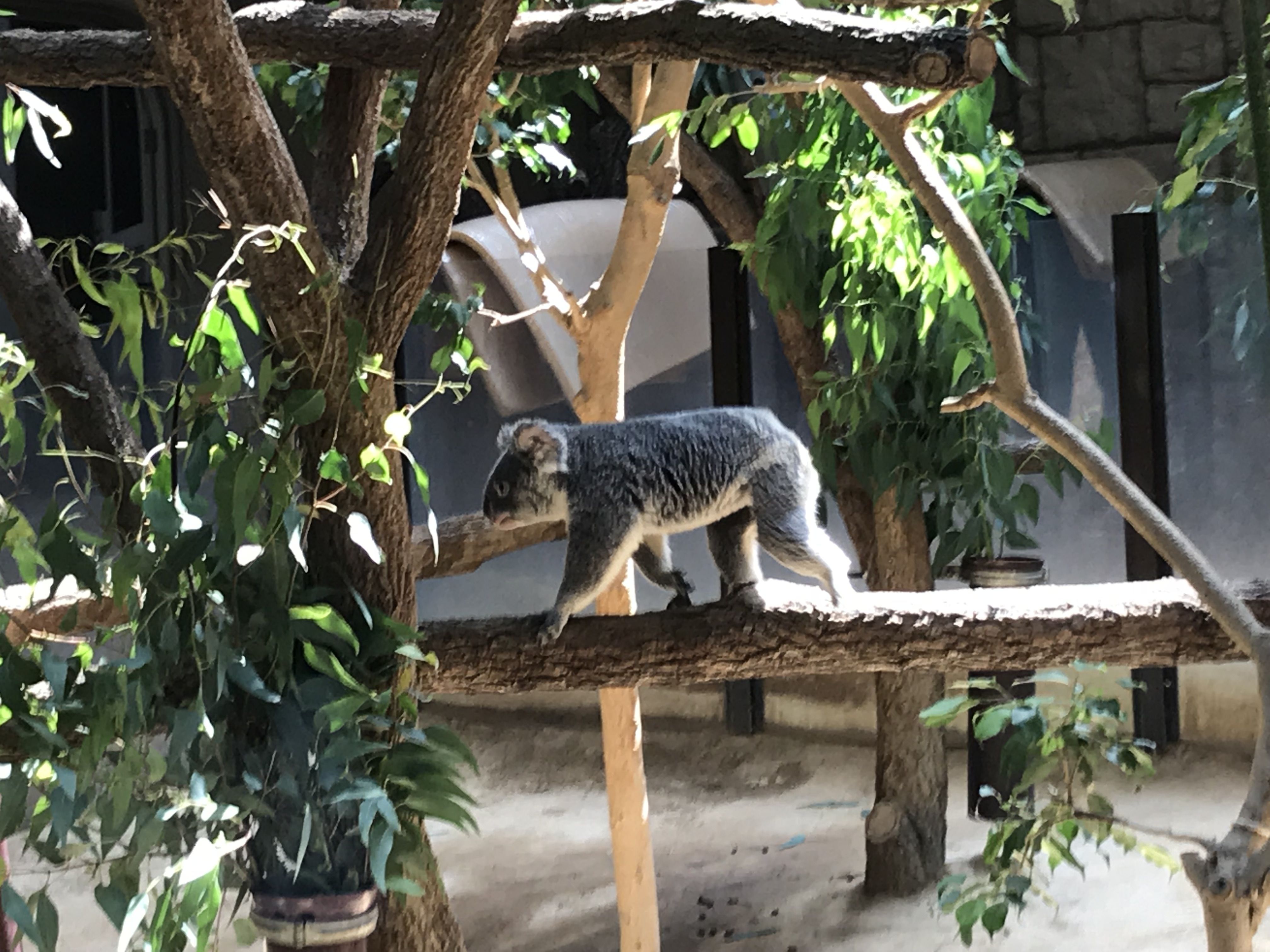 動物園に行ってきました ずくなし主婦のずくだして行こう 楽天ブログ