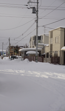 2016-01-28yuki3.JPG