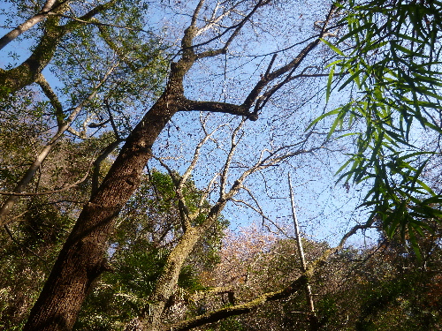 P1140487(1).JPG