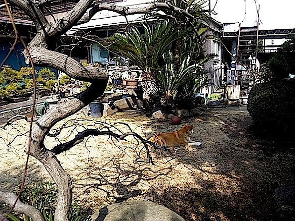 120303_132034.jpg