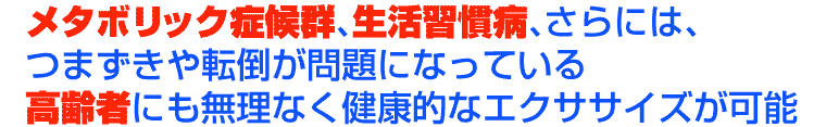 サイクルツイスター06